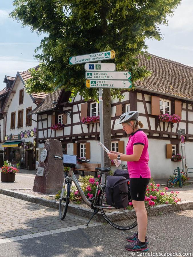 Coeur D'Alsace Colmar Vignobles Ouest Avec Terrasses Villa Wintzenheim Eksteriør bilde
