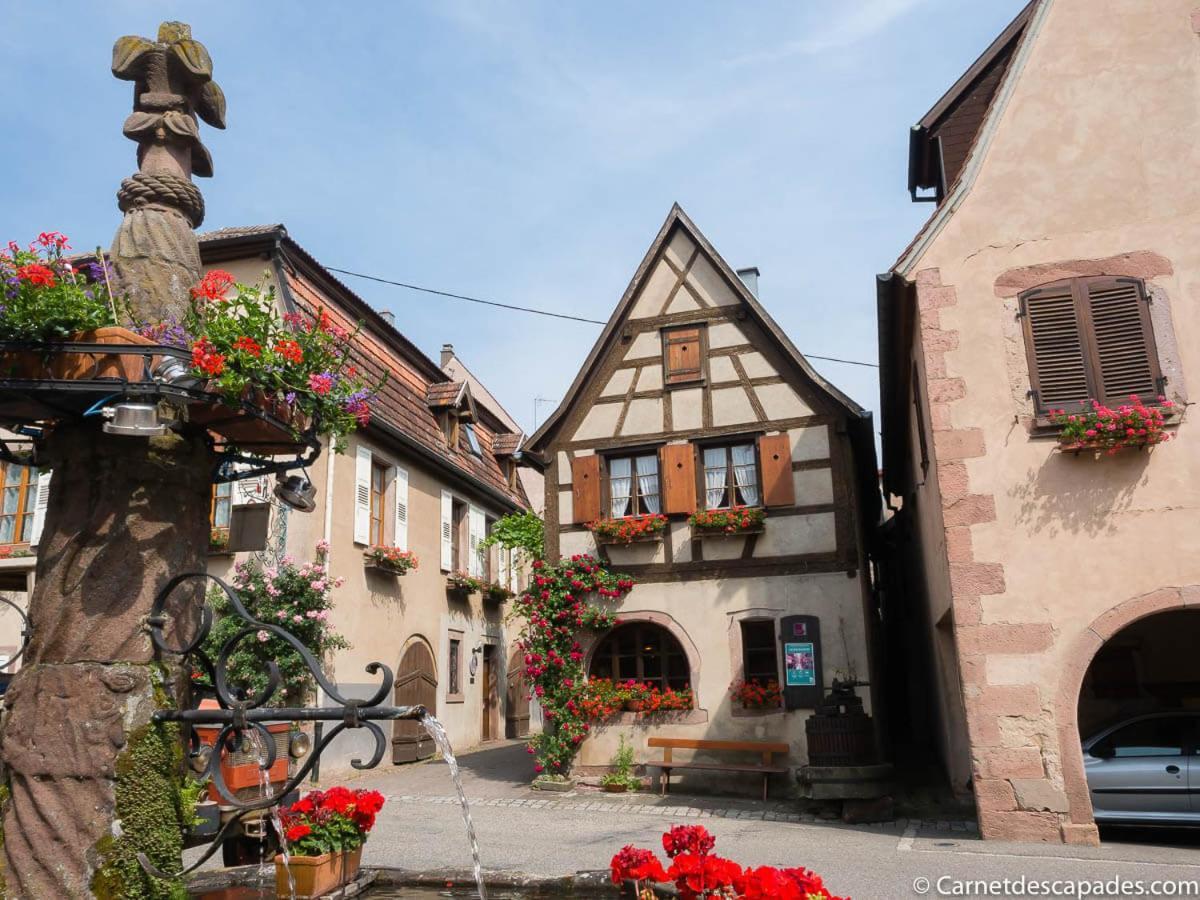 Coeur D'Alsace Colmar Vignobles Ouest Avec Terrasses Villa Wintzenheim Eksteriør bilde