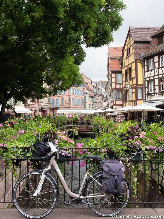 Coeur D'Alsace Colmar Vignobles Ouest Avec Terrasses Villa Wintzenheim Eksteriør bilde