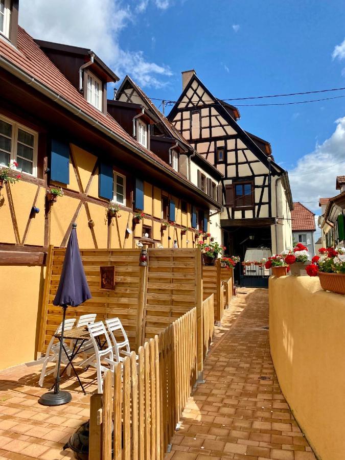 Coeur D'Alsace Colmar Vignobles Ouest Avec Terrasses Villa Wintzenheim Eksteriør bilde