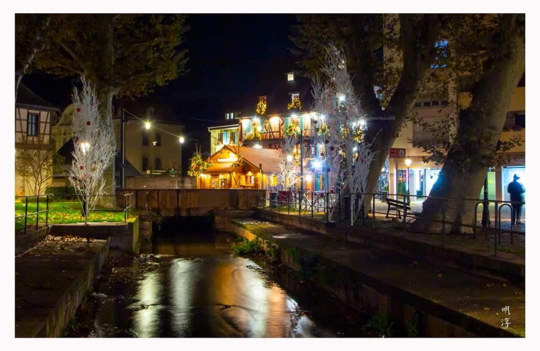Coeur D'Alsace Colmar Vignobles Ouest Avec Terrasses Villa Wintzenheim Eksteriør bilde